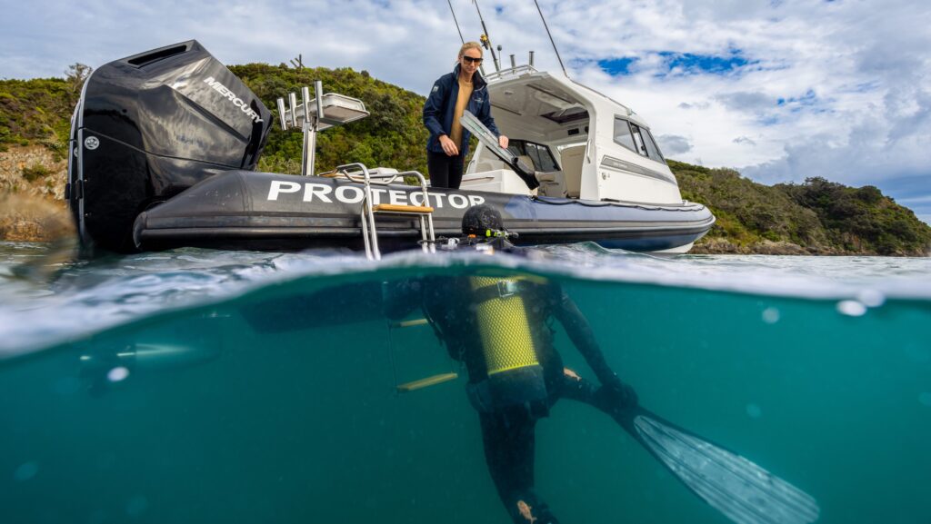 Diving Operations Protector Targa 330 - diver coming up from below