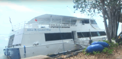 Honolulu ferry awaiting salvage against wall after accidental surfing incident grounds it