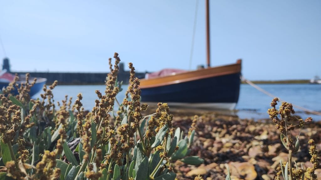 Wooden boat at sea