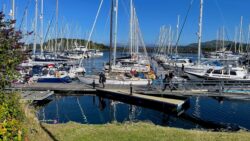 Image of scottish marina, craobh marine with sailing yachts in view