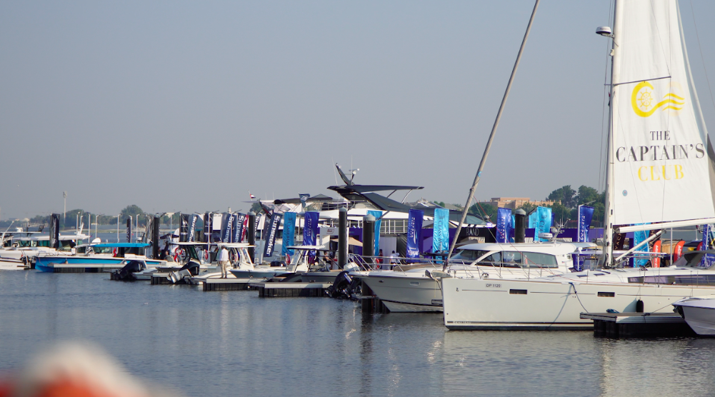 Boats lined up in marina