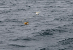 fishing gear which is hard to see could cause problems at sea sats Cruising Association as it launches reporting tool
