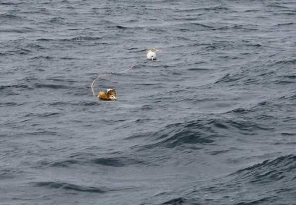 fishing gear which is hard to see could cause problems at sea sats Cruising Association as it launches reporting tool
