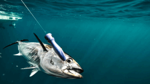 釣り上げられた魚