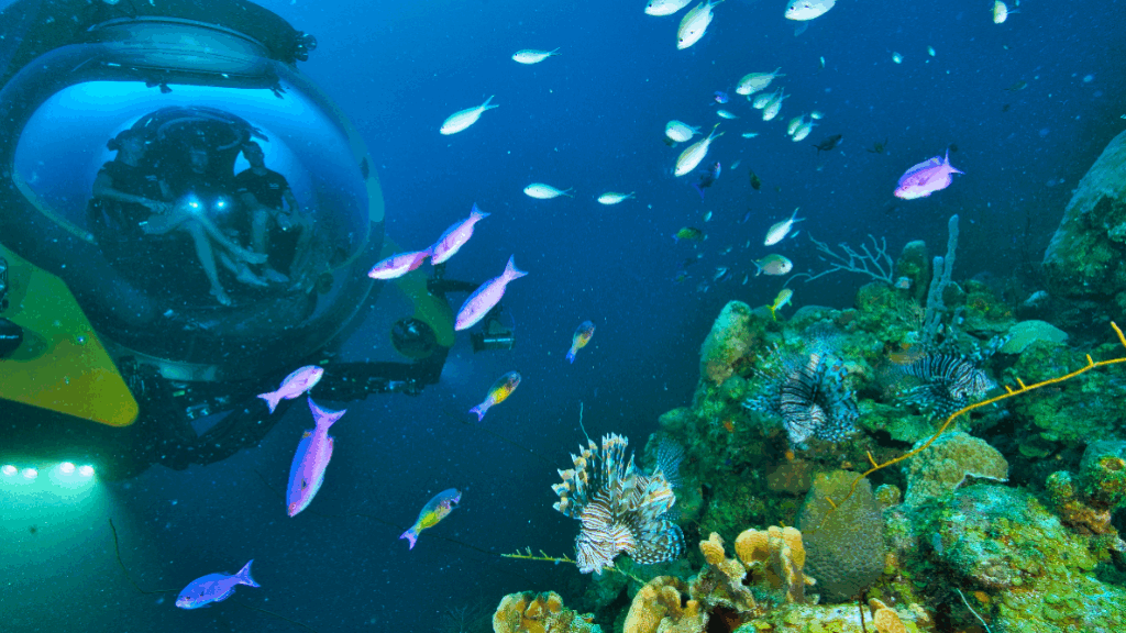 U-Boat Worx submersible under the sea as company announces wet lease has been signed