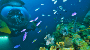 U-Boat Worx taucht unter Wasser: Unternehmen gibt Unterzeichnung eines Wet-Lease bekannt