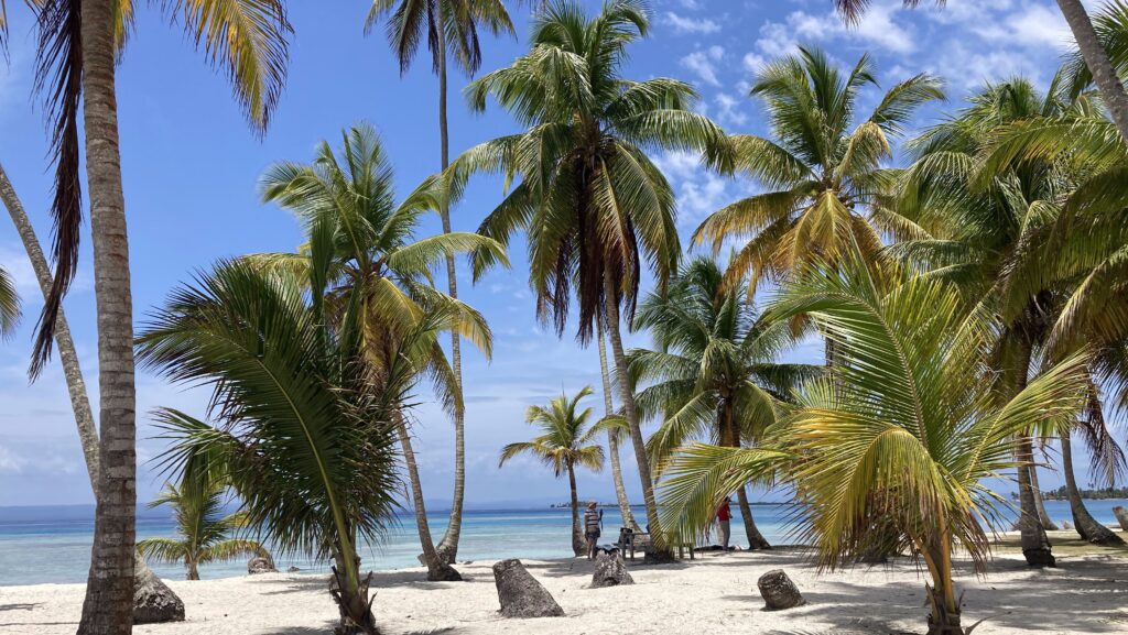 sandy island with palm trees in Panama