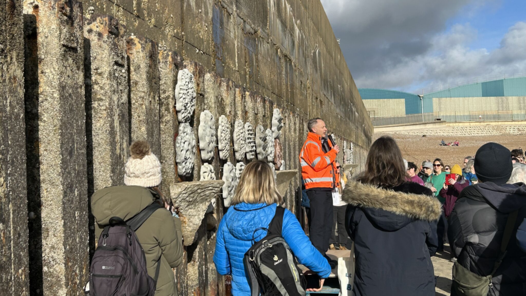 جدار ساوثويك ريف البحري الحي