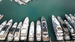 D-Marin's Camille Rayon marina