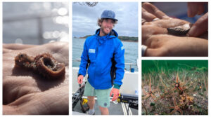 Dr Ben Harris and creatures from the muddy seabeds