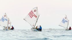 Three dinghies sailing at sea