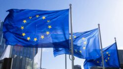 EU flags