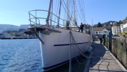 Tambo - aluminium hull - alongside, image of bow