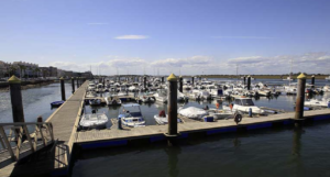 small marina in the sunshine