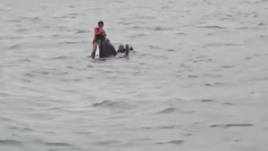 Rescuers approach the partially submerged jetski off Koh Samui