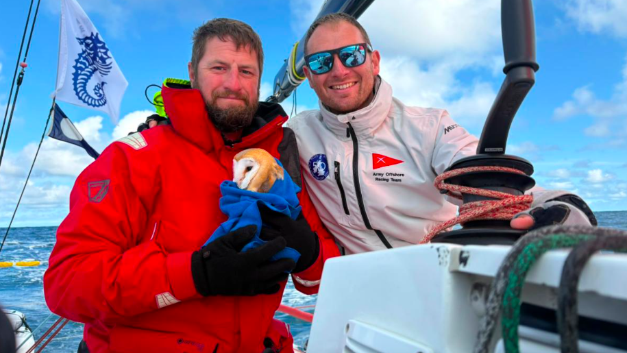 two men and an owl on a boat