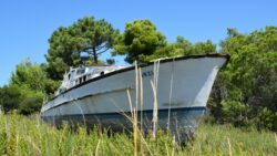 Boat in a green field